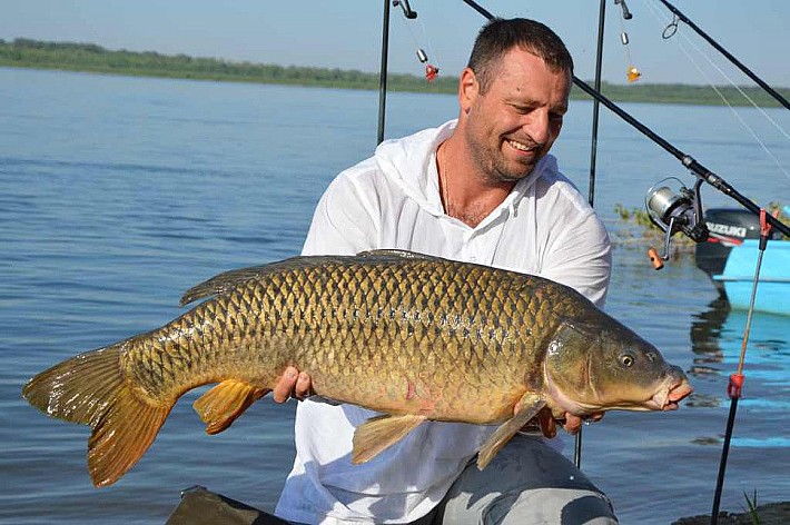 Карпфишинг004